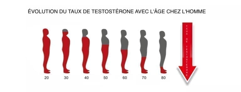 Baisse de testostérone causes symptômes et boosters possibles