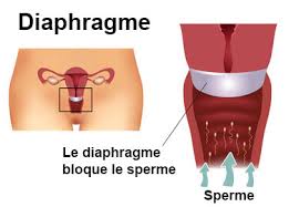 action diaphragme cape cervicale