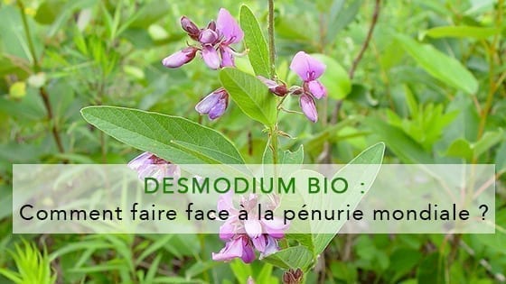 desmodium-bio