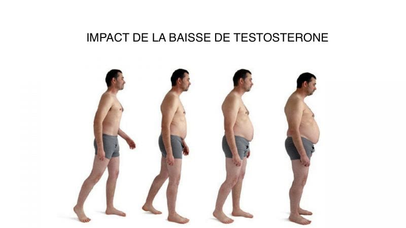 testosterone basse fait grossir